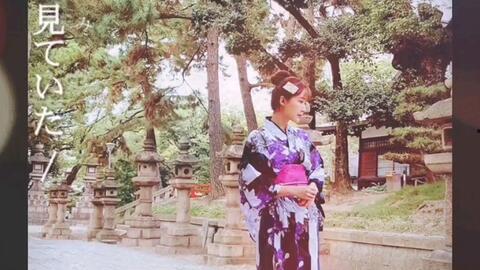 日本唯美官網,探尋東方美學之韻