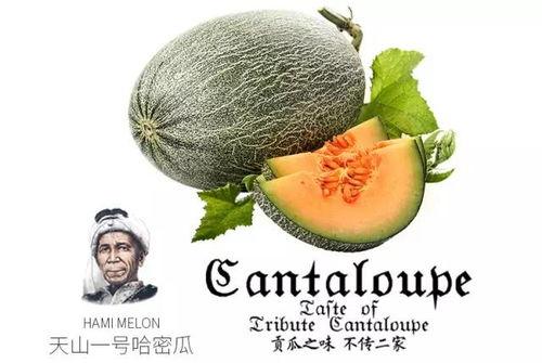 吃瓜網(wǎng)紅拍照神器推薦,吃瓜群眾必備的拍照利器推薦