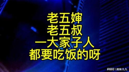 老五嬸最新爆料,娛樂圈驚天內幕大曝光！