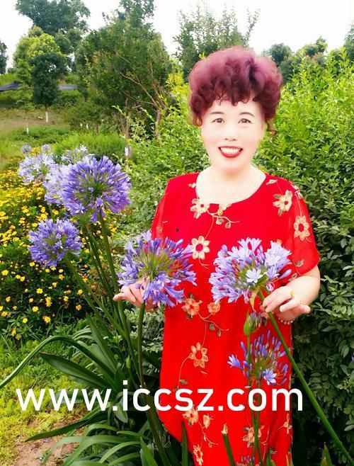 西川里音有無碼的么,真?zhèn)坞y辨的有碼之謎