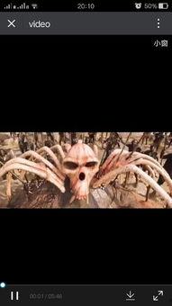 av女友名字圖片查詢,圖片解析與深度解讀