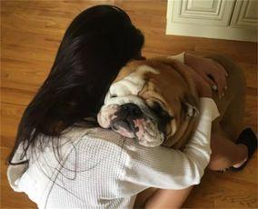 女性與狗狗愛愛視頻