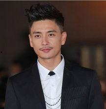 黃宗澤男明星,魅力四射的影視巨星，演繹人生百態(tài)