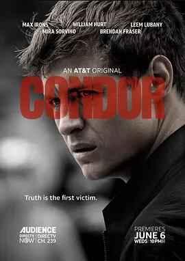 禿鷹第一季在線播放,揭秘神秘事件的驚悚之旅