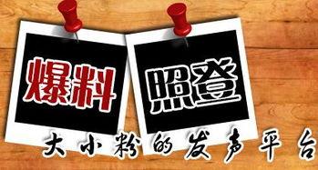 四川各大新聞爆料平臺,多平臺爆料聚焦民生、經濟與文化動態