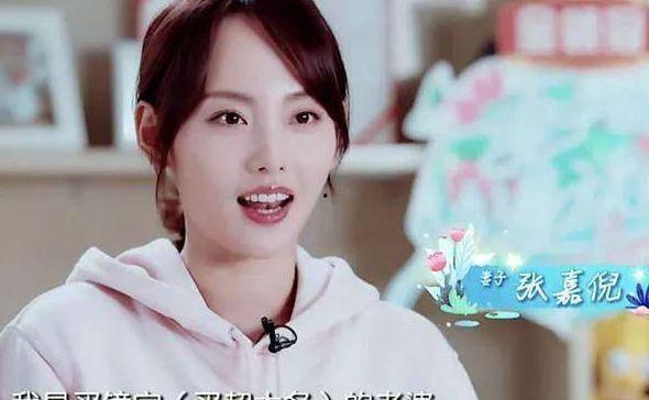 張嘉倪的老公身價資料,揭秘娛樂圈高凈值人士的財富傳奇