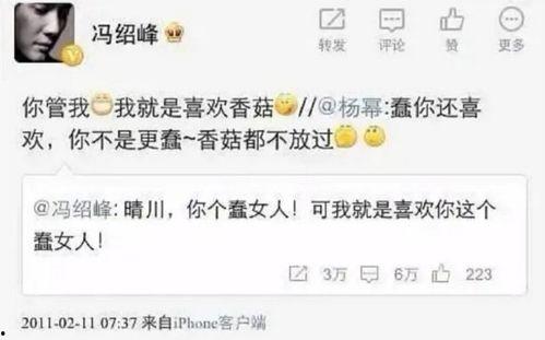 娥姐微博爆料視頻在線觀看,揭秘幕后真相，帶你走進事件核心