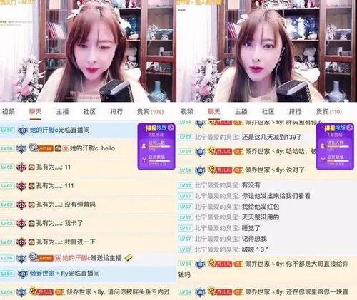 粉球最新爆料視頻大全,揭秘幕后真相，精彩瞬間大盤點